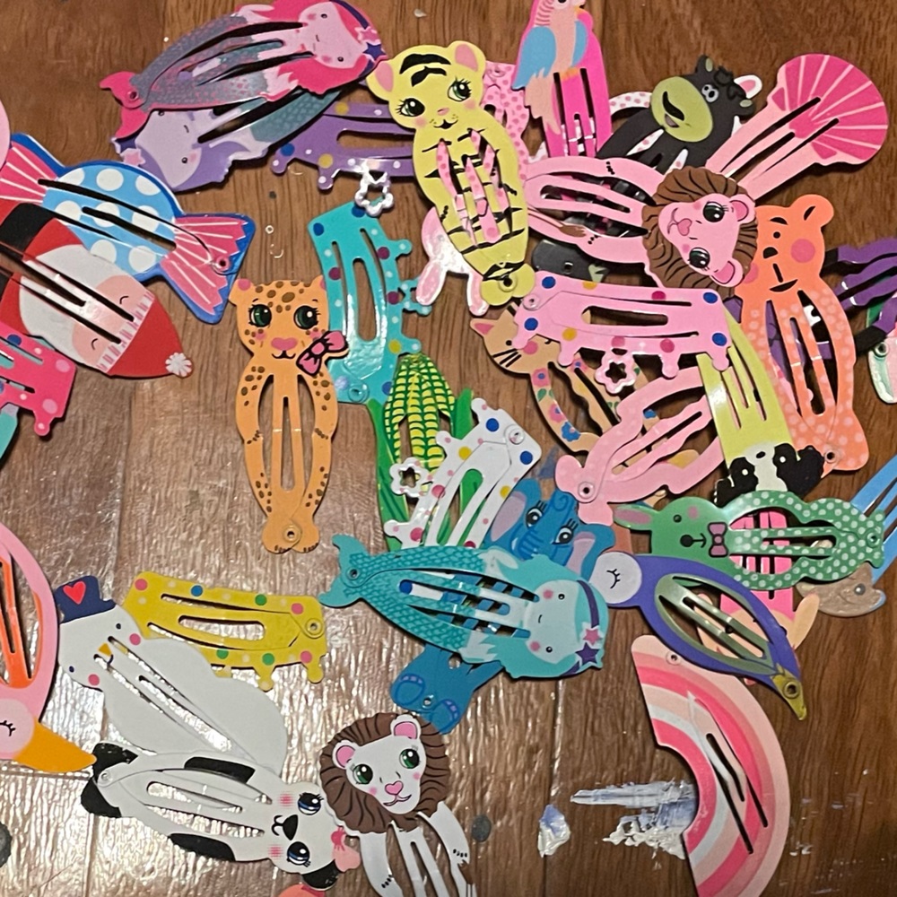 a variety pack of cute hair clips !